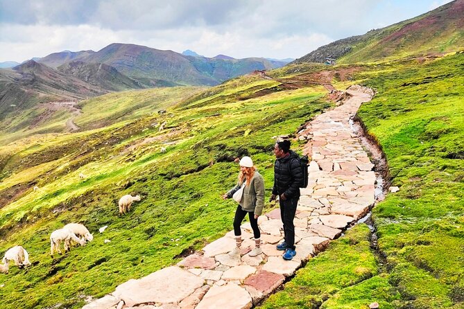 Palcoyo Colored Mountain Excursion, Walk With Llamas - Traveler Feedback