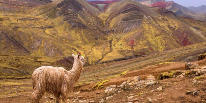 Palcoyo - Explore Rainbow Mountains Secret Sister - Itinerary Details