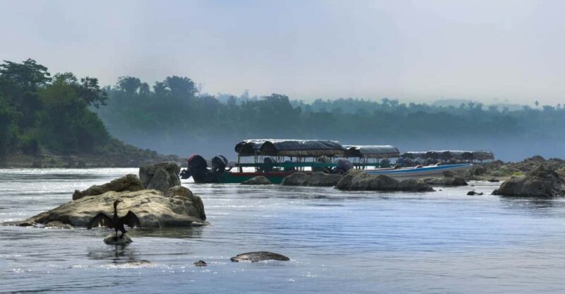 Palenque: 2-Days Nature Tour in Northern Lacandon Jungle - Key Points