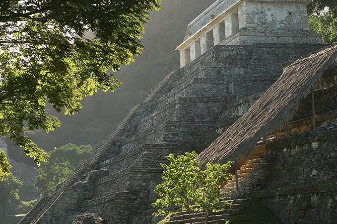 Palenque Archaeological Site From Villahermosa City or Airport - Optional Palenque Museum Visit