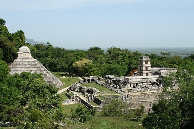 Palenque Archaeological Site From Villahermosa City or Airport - Native Wildlife and Architecture Insights