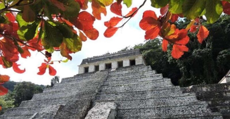 Palenque Archeological Zone and Roberto Barrios Waterfalls - Tour Highlights