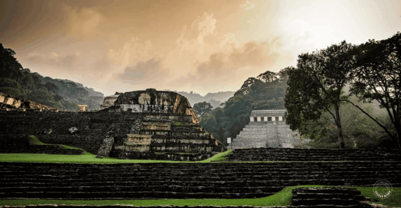 Palenque: Calakmul Tour: Mayan Ruins & Wildlife Exploration - Exploring Calakmul Ruins
