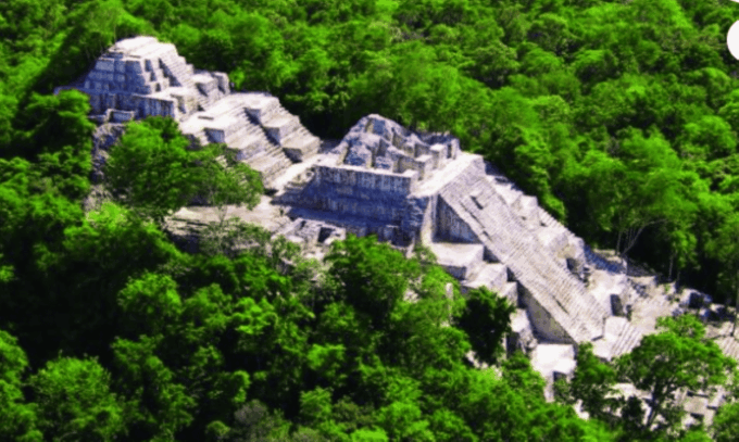Palenque: Calakmul Tour: Mayan Ruins & Wildlife Exploration - Frequently Asked Questions
