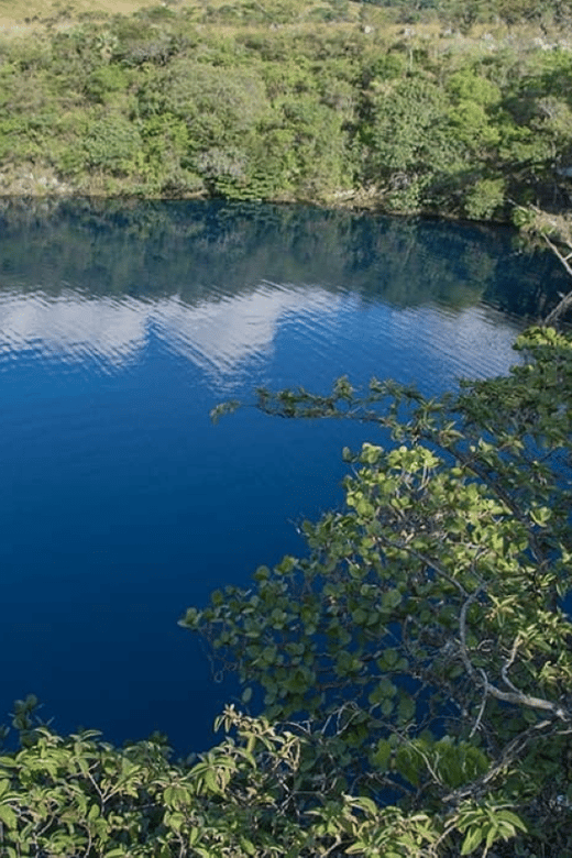 Palenque: Catazajá Lagoon Wildlife Adventure - Pricing and Cancellation