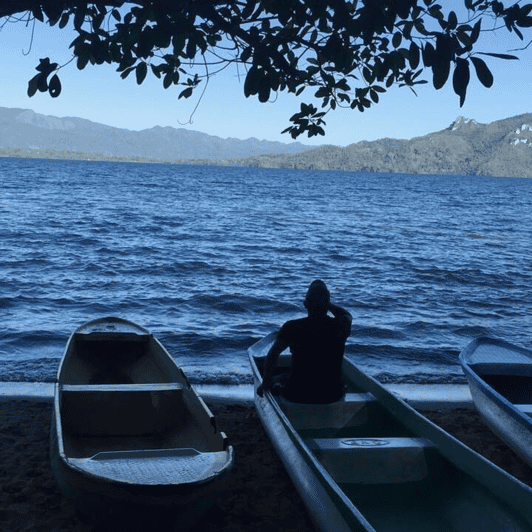Palenque: Catazajá Lagoon Wildlife Adventure - Highlights of the Experience