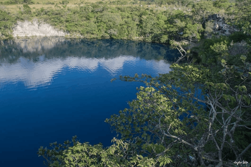 Palenque: Catazajá Lagoon Wildlife Adventure - Transportation and Inclusions