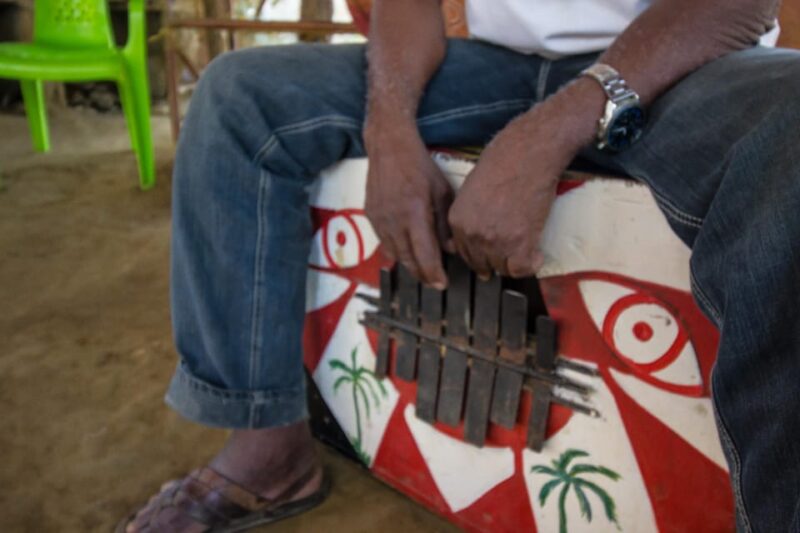 Palenque De San Basilio Tour - Activities and Highlights