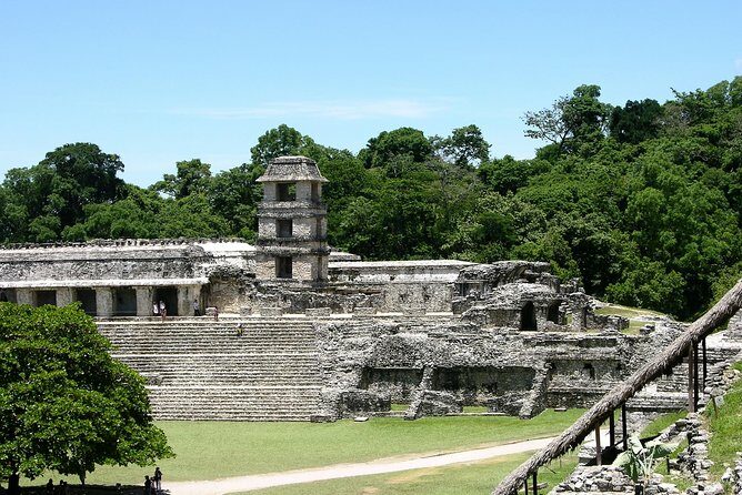 Palenque Maya ruins, guided tour from Palenque - The Experience: Pros and Cons