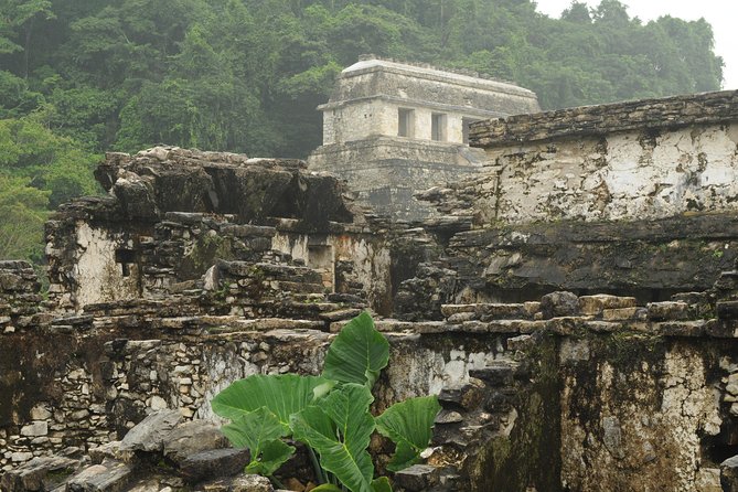 Palenque Mayan Ruins, Misol-Ha and Agua Azul Waterfalls Full Day Tour From Palenque - Frequently Asked Questions