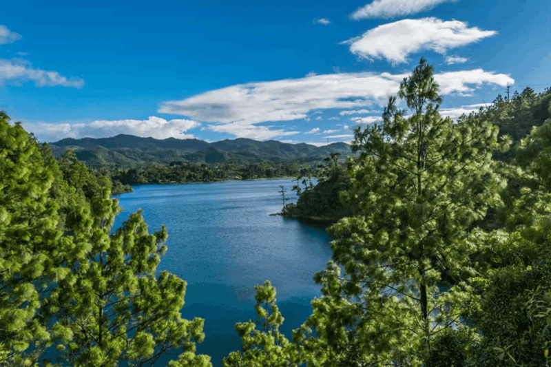 Palenque: Metzabok Adventure From Palenque - Itinerary Details