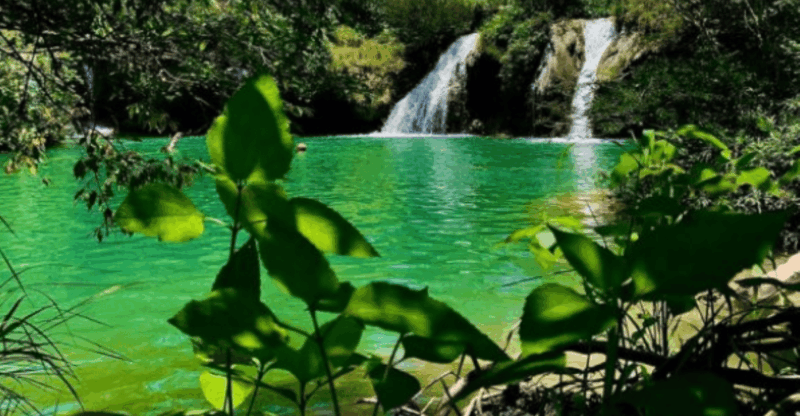 Palenque: Roberto Barrios Waterfall Tour - Key Points