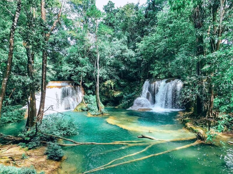 Palenque: Roberto Barrios Waterfall Tour - Entrance Tickets and Lunch