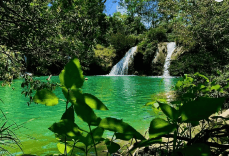 Palenque: Roberto Barrios Waterfall Tour - Natural Setting and Adventure