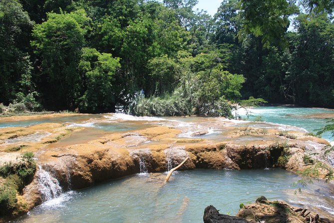 PALENQUE Ruins, AGUA AZUL and MISOL-HA (Private From PALENQUE or San Cristobal) - Cultural and Natural Highlights