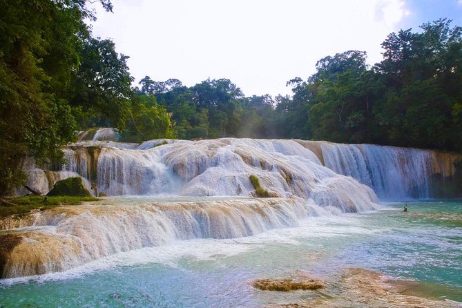 PALENQUE Ruins, AGUA AZUL and MISOL-HA (Private From PALENQUE or San Cristobal) - Pricing and Inclusions