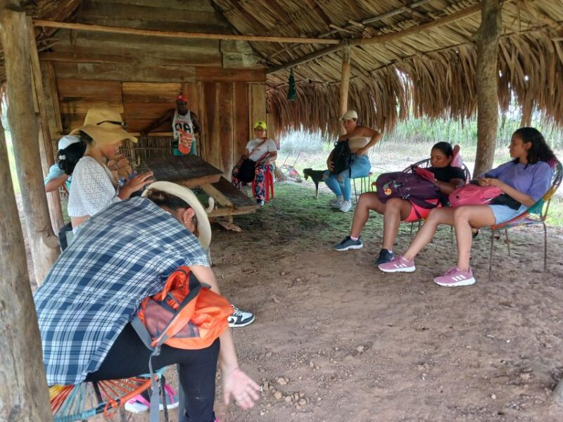 Palenque; Traditional Medicine and House Museum. - Exploring Traditional Medicine