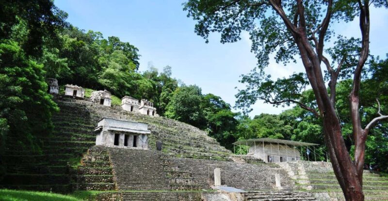 Palenque: Yaxchilán and Bonampak 2 Day Tour - Included Amenities