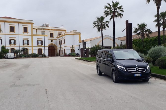 Palermo Airport to Palermo City or Vice Versa, Private Transfer Service - Professional Drivers and Vehicles