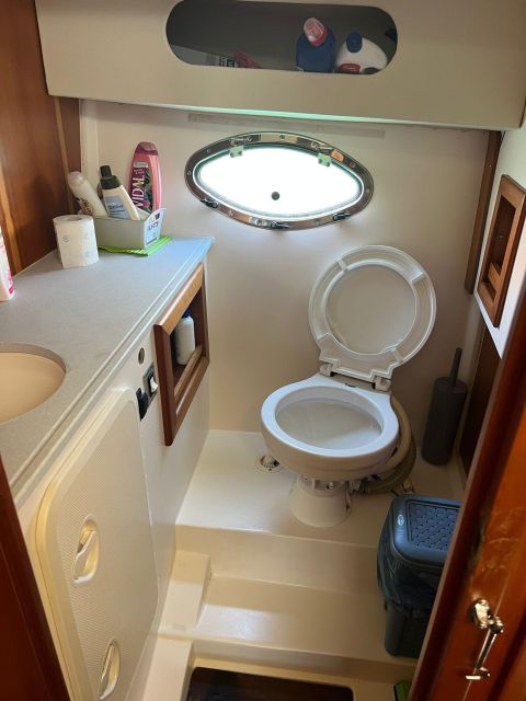 Palermo: Boat Tour With Snacks and Snorkeling - Customer Feedback