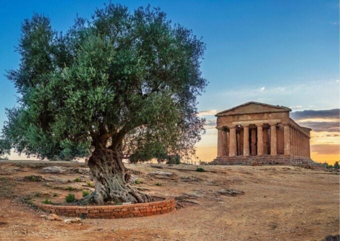 Palermo to Siracusa: Stop at the Valley of Temples & Roman Villa - Inclusions and Exclusions