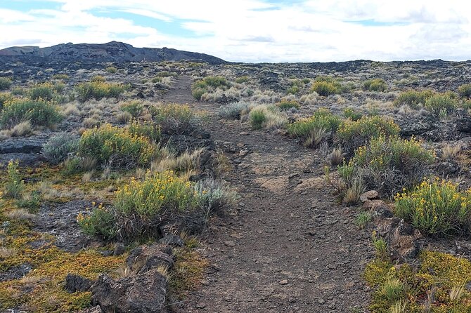 Pali Aike Full-Day Adventure From Punta Arenas - Stunning Landscapes and Vistas