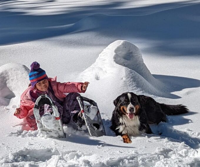 Palisades Point Half-Day Snowshoeing Hike - Frequently Asked Questions
