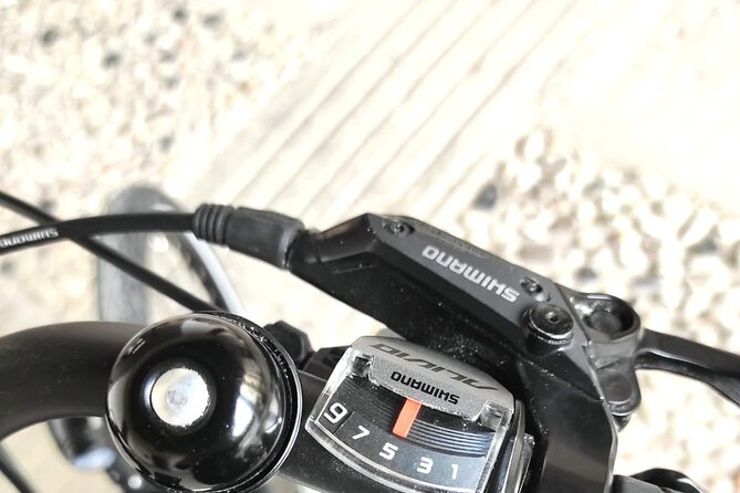 Palladian E-Bike Rental in & Around Vicenza - Rental Inclusions and Optional Extras