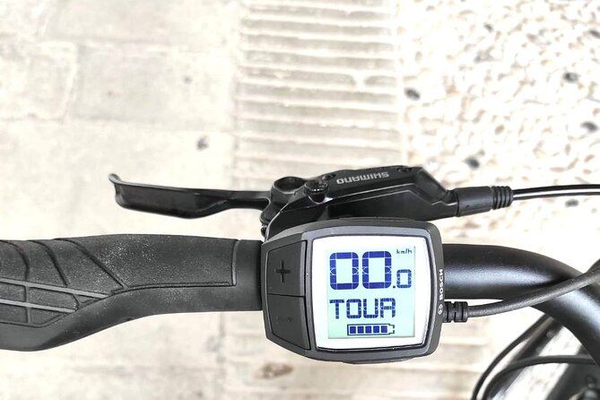 Palladian E-Bike Rental in & Around Vicenza - Accessibility and Participation