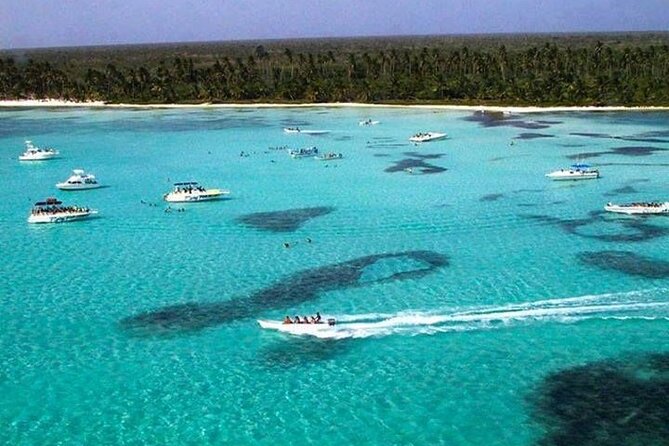 Palladium Punta Cana - Round Trip Shuttle - Punta Cana Airport - Inclusions