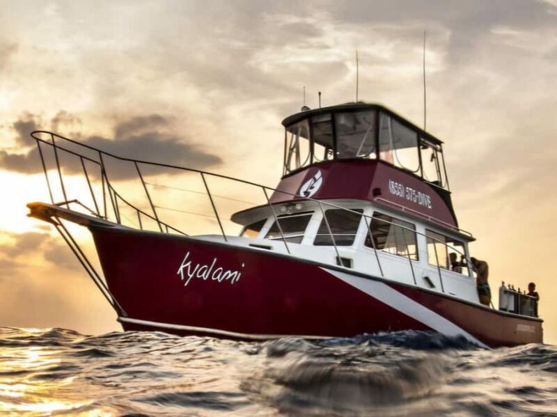 Palm Beach: Island Cruise on the Intracoastal - An In-Depth Look at the Experience