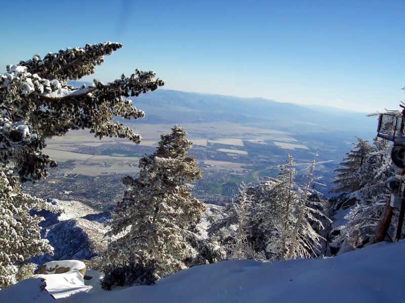 Palm Springs: Aerial Tramway Round-Trip Ticket - Key Points