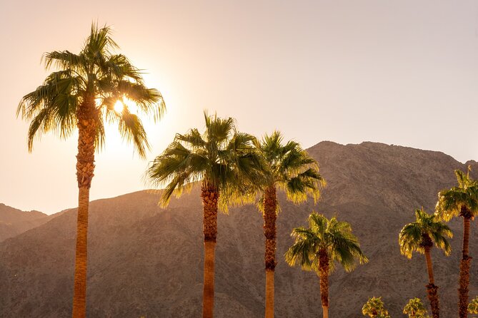 Palm Springs and Joshua Tree Self-Guided Driving Audio Tours - Hands-Free Exploration and Flexibility