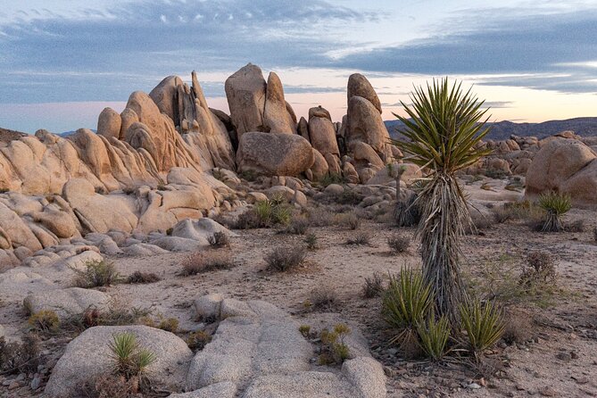 Palm Springs and Joshua Tree Self-Guided Driving Audio Tours - Tour Accessibility and Personalization
