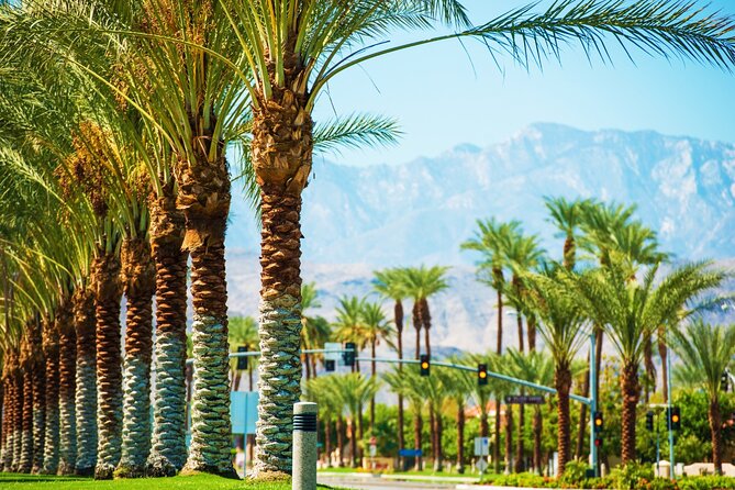 Palm Springs and Joshua Tree Self-Guided Driving Audio Tours - Comprehensive Preparation and Starting the Tour