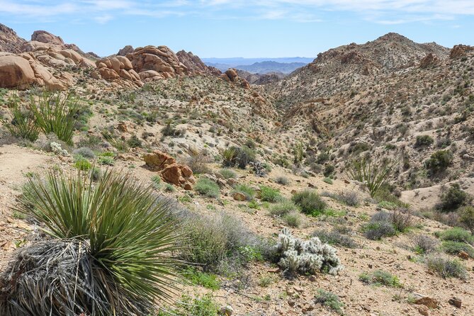 Palm Springs and Joshua Tree Self-Guided Driving Audio Tours - Pricing, Cancellation, and Payment Options