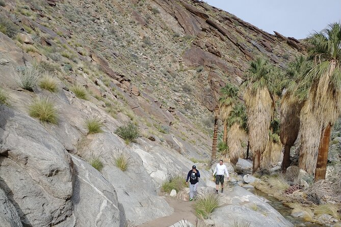 Palm Springs Desert Oasis Hike in Indian Canyons - Location and Meeting Point