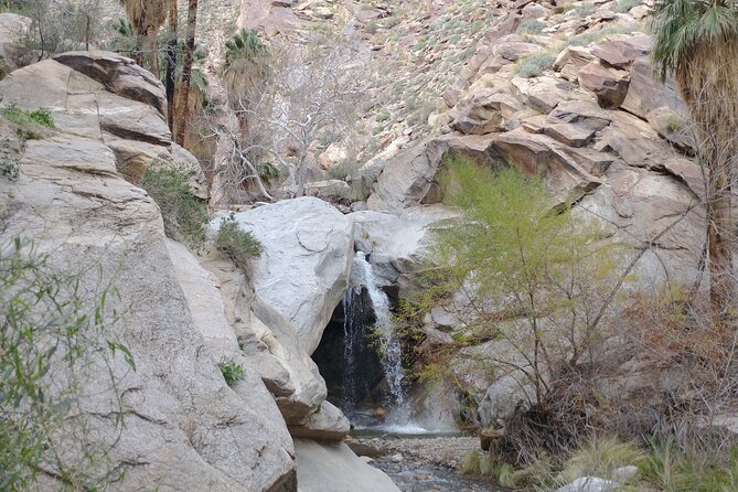 Palm Springs Desert Oasis Hike in Indian Canyons - Included Amenities and Fees