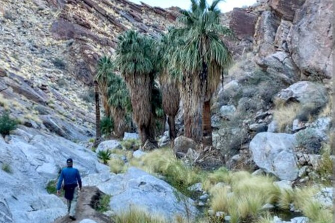 Palm Springs Desert Oasis Hike in Indian Canyons - Safety and Preparation Requirements