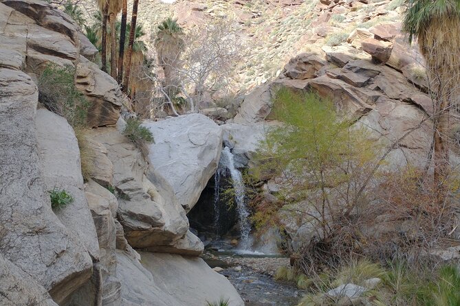 Palm Springs Desert Oasis Hike in Indian Canyons - Hike Experience and Restrictions