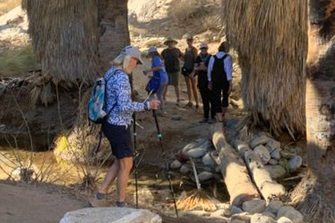 Palm Springs Desert Oasis Hike in Indian Canyons - What to Expect on the Trail
