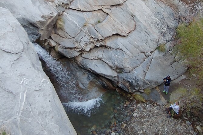 Palm Springs Desert Oasis Hike in Indian Canyons - Additional Information