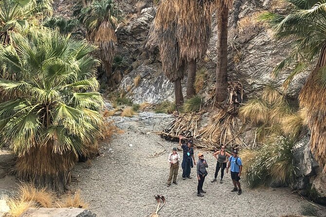 Palm Springs Hike to an Oasis and Amazing Desert Views - Hike Details