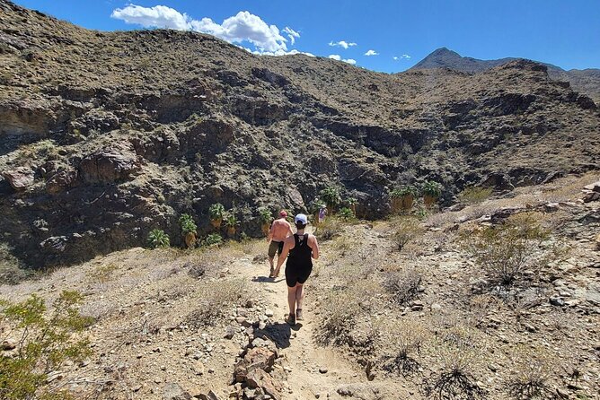 Palm Springs Hike to an Oasis and Amazing Desert Views - What to Expect on the Hike