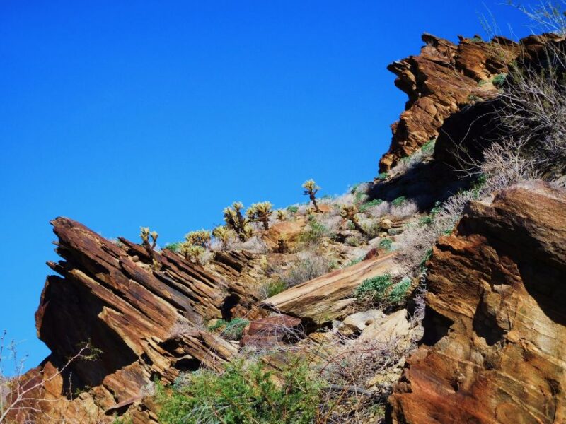 Palm Springs: Indian Canyons Hiking Tour by Jeep - Meeting Point and Important Information