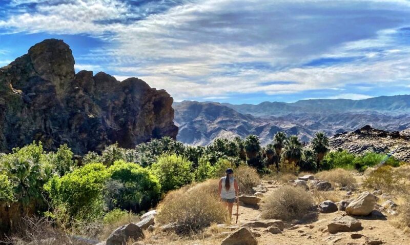 Palm Springs: Indian Canyons Hiking Tour by Jeep - What to Bring and Restrictions