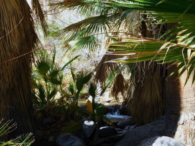 Palm Springs: Indian Canyons Hiking Tour by Jeep - Accessibility and Safety Considerations