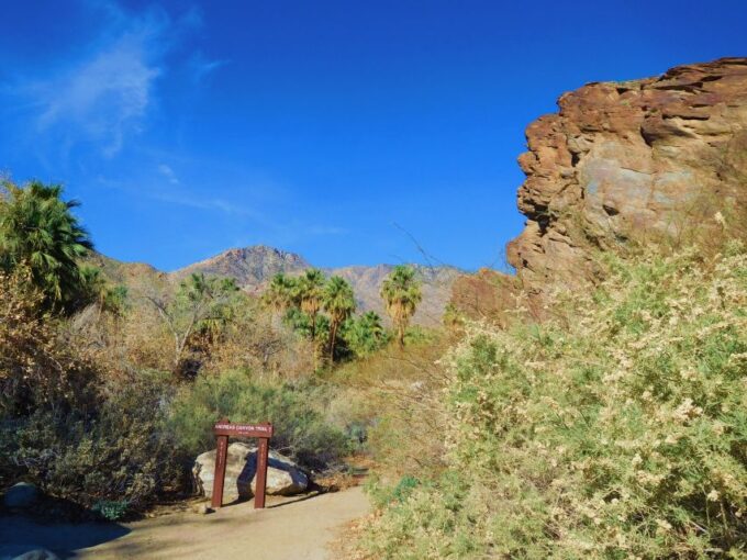 Palm Springs: Indian Canyons Hiking Tour by Jeep - Frequently Asked Questions