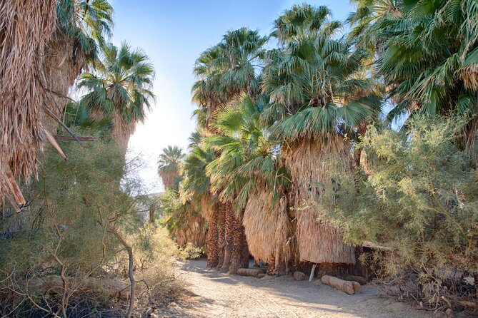 Palm Springs Self-Guided Driving Audio Tour - Photo Opportunities