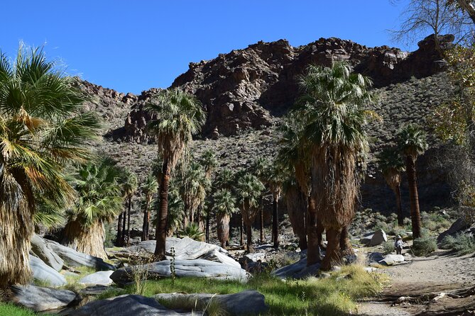 Palm Springs Self-Guided Driving Audio Tour - Future Tours
